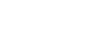 LogoFooter